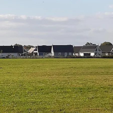 'irene' * Zerpenschleuse