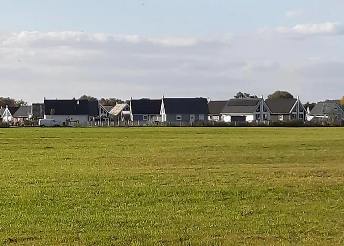 'irene' * Zerpenschleuse